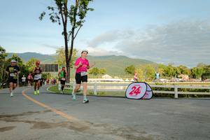 BIB: 
                            <button type="button" onclick="openModal(26555638)" class="btn btn-primary btn-sm float-right btn-popup" data-toggle="modal" data-target=".modal-high-quality">
                        <i class="fas fa-shopping-cart"></i> Add to Cart
                    </button>
                                            <button type="button" onclick="isThisMe(26555638, true)" class="btn btn-success btn-sm float-right btn-popup btn-isme hidden" data-toggle="tooltip" data-placement="bottom" title="นี่คือรูปของคุณใช่ไหม คลิกที่นี่เพื่อเอาเข้าอัลบั้ม">
                        <i class="fas fa-plus"></i> Add to album
                    </button>
                    <button type="button" onclick="isThisMe(26555638, false)" class="btn btn-warning btn-sm float-right btn-popup btn-isnotme hidden">
                        <i class="fas fa-ban"></i> Remove from album
                    </button>